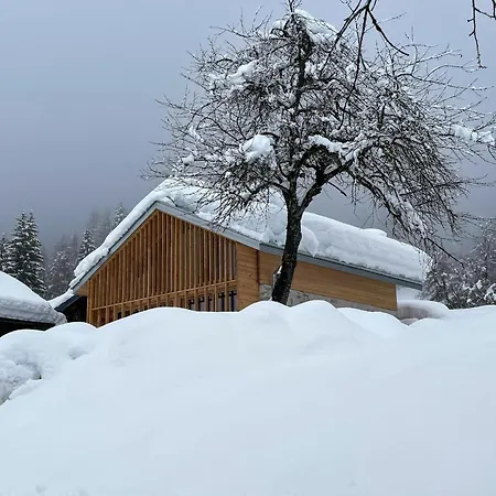 Alpina Campiglio Apartment *